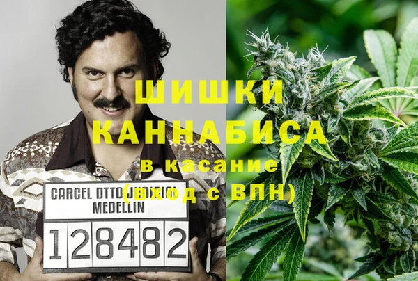 гидропоника Снежинск