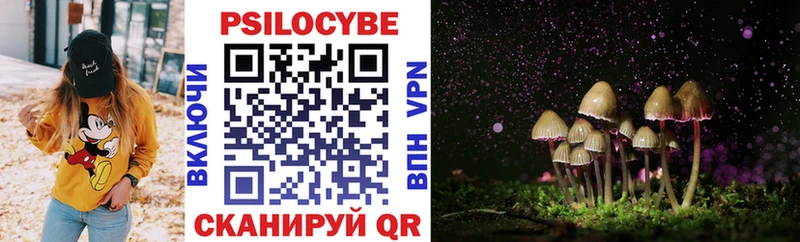 Галлюциногенные грибы прущие грибы  Судак 